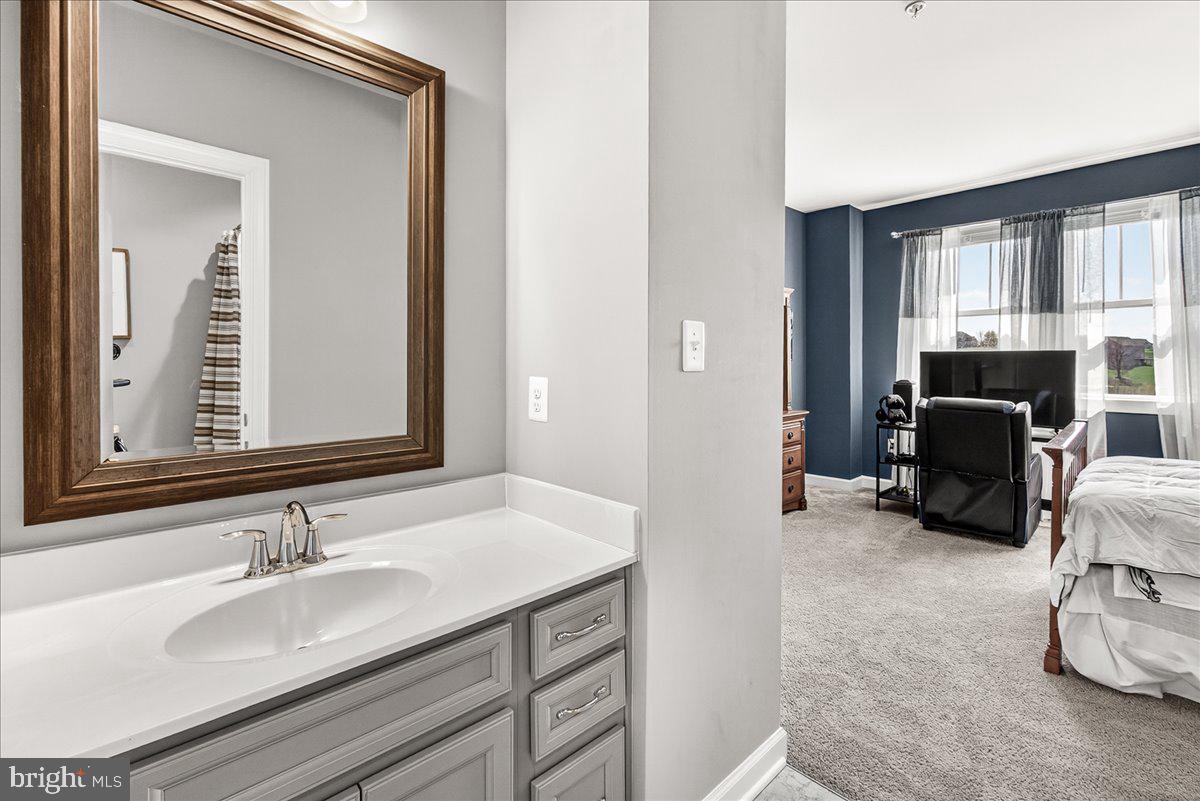 3633 Moline Court Monrovia, MD 21770 - Photo 52 of 82 a en suite bathroom with a sink double vanity and a mirror