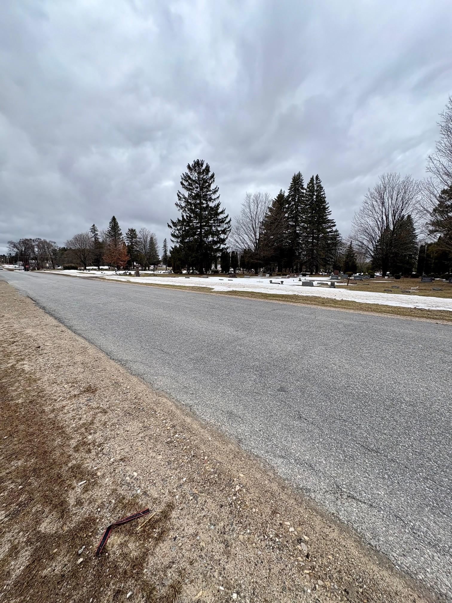 0 Cedar River Road Mancelona, MI 49659 - Photo 4 of 6