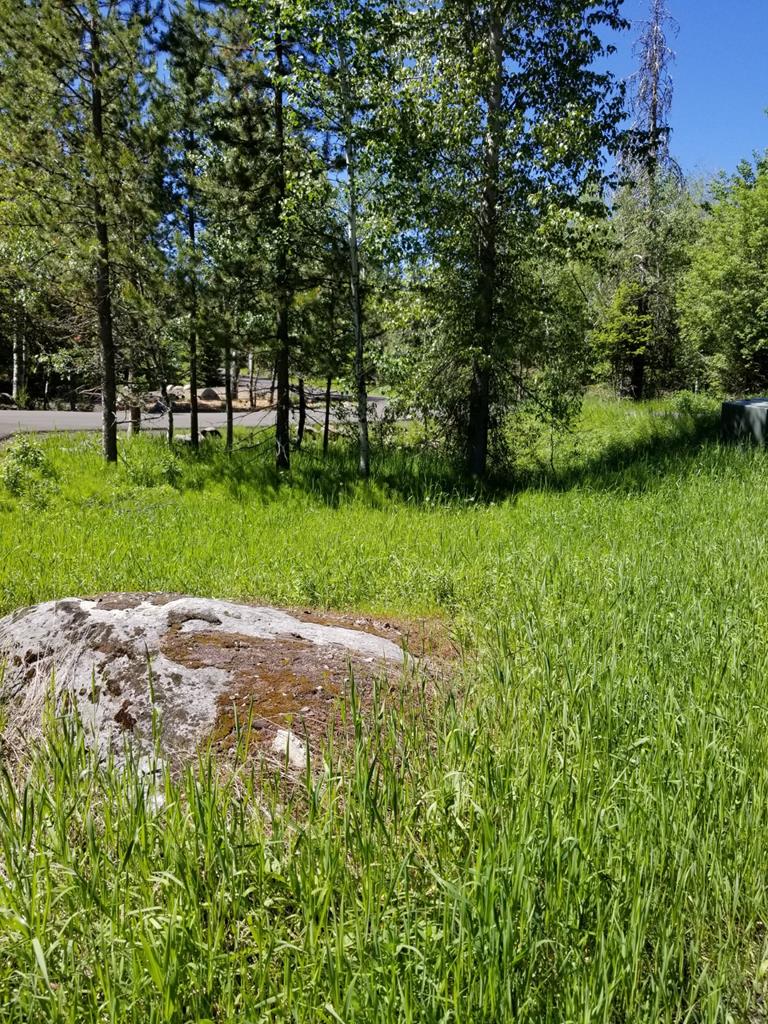 Tbd Divot Lane, Unit 4 McCall, ID 83638 - Photo 10 of 18