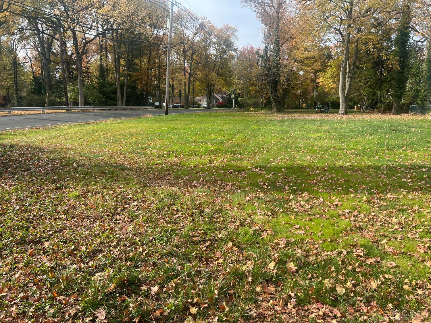 399 Middlesex Avenue Colonia, NJ 07067 - Photo 4 of 9 a view of a green field with trees in the background