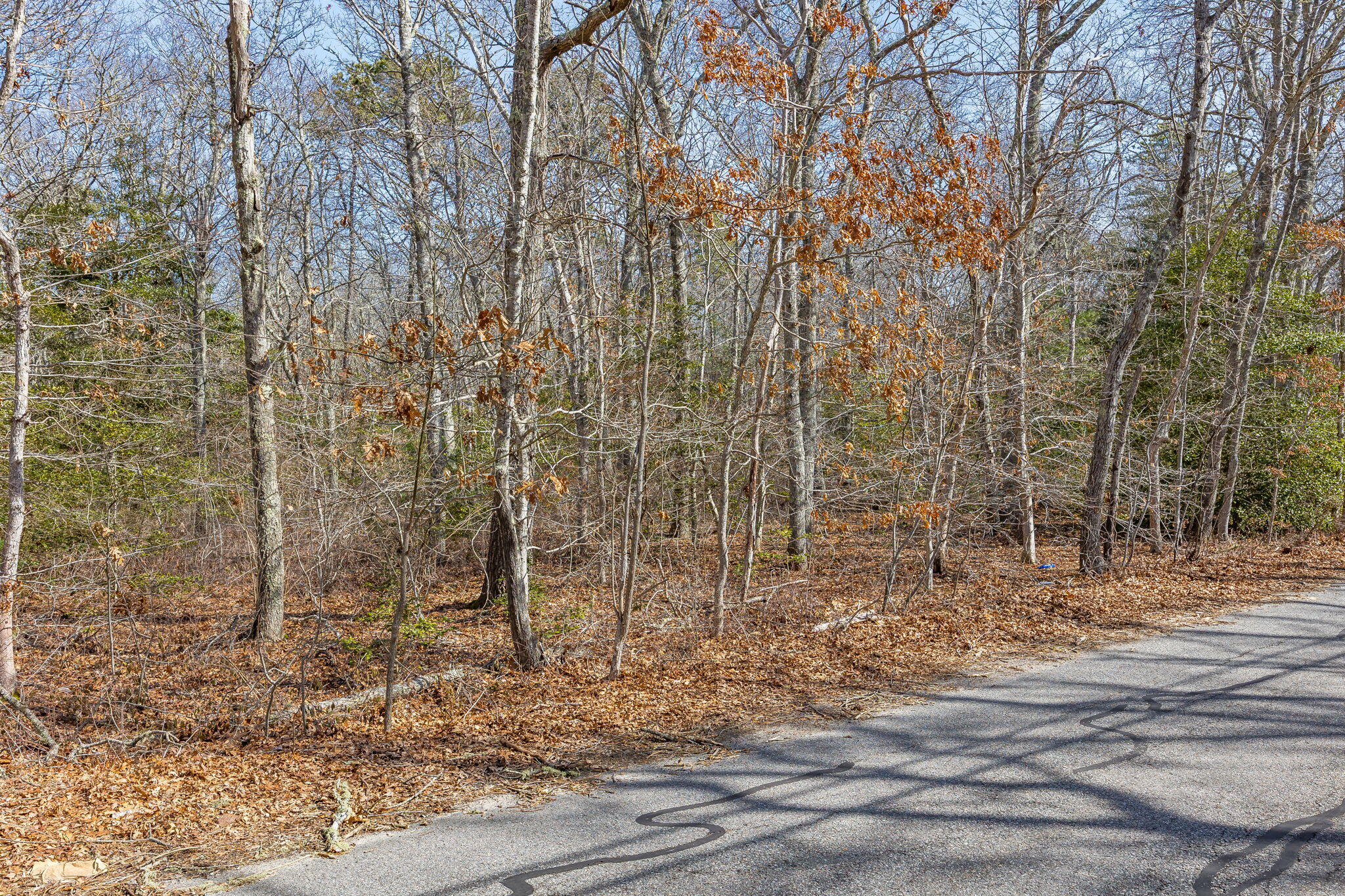 39 John Ewer Road Sandwich, MA 02563 - Photo 2 of 6 24-8P0A8551