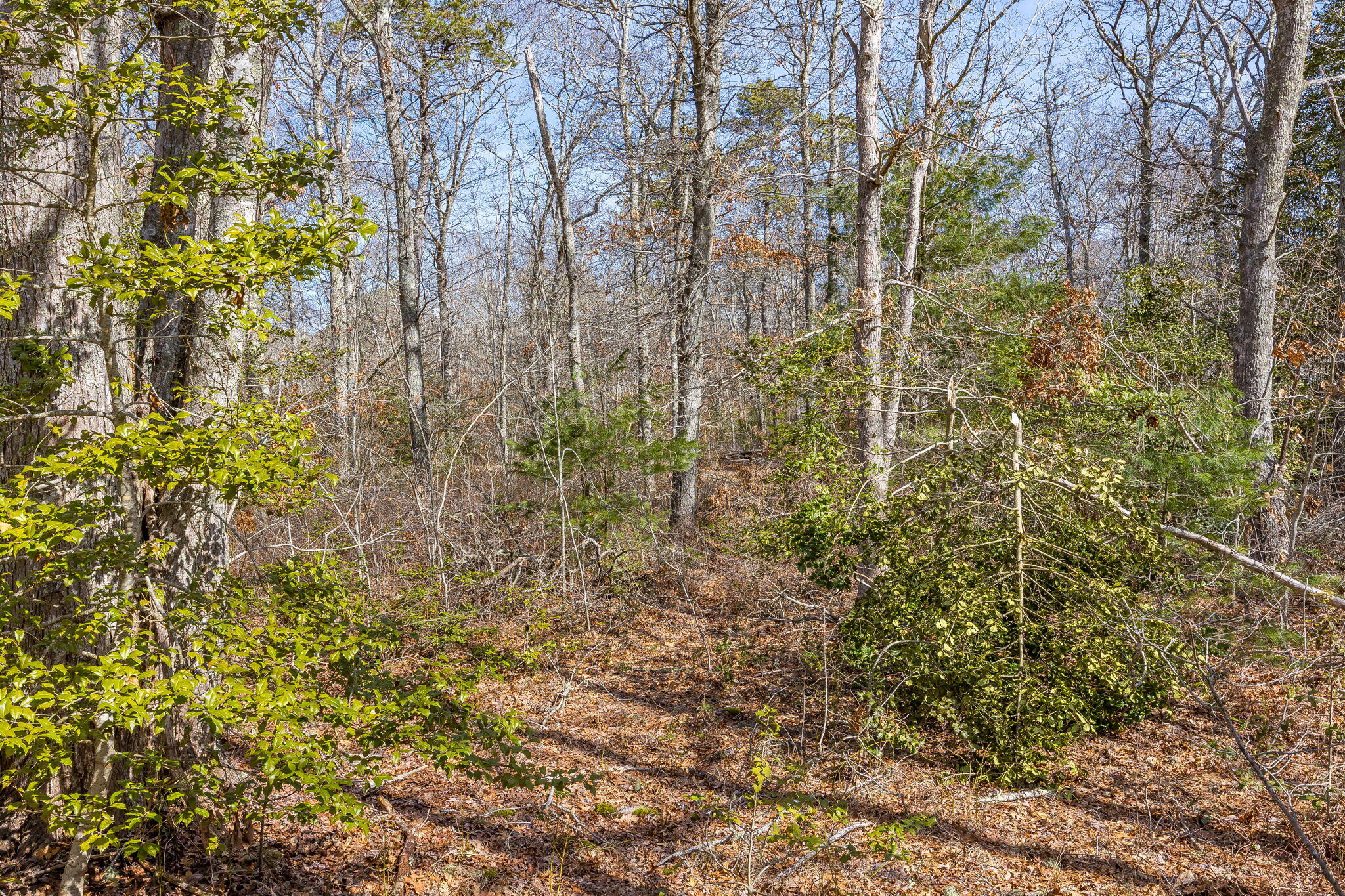 39 John Ewer Road Sandwich, MA 02563 - Photo 3 of 6 26-8P0A8553