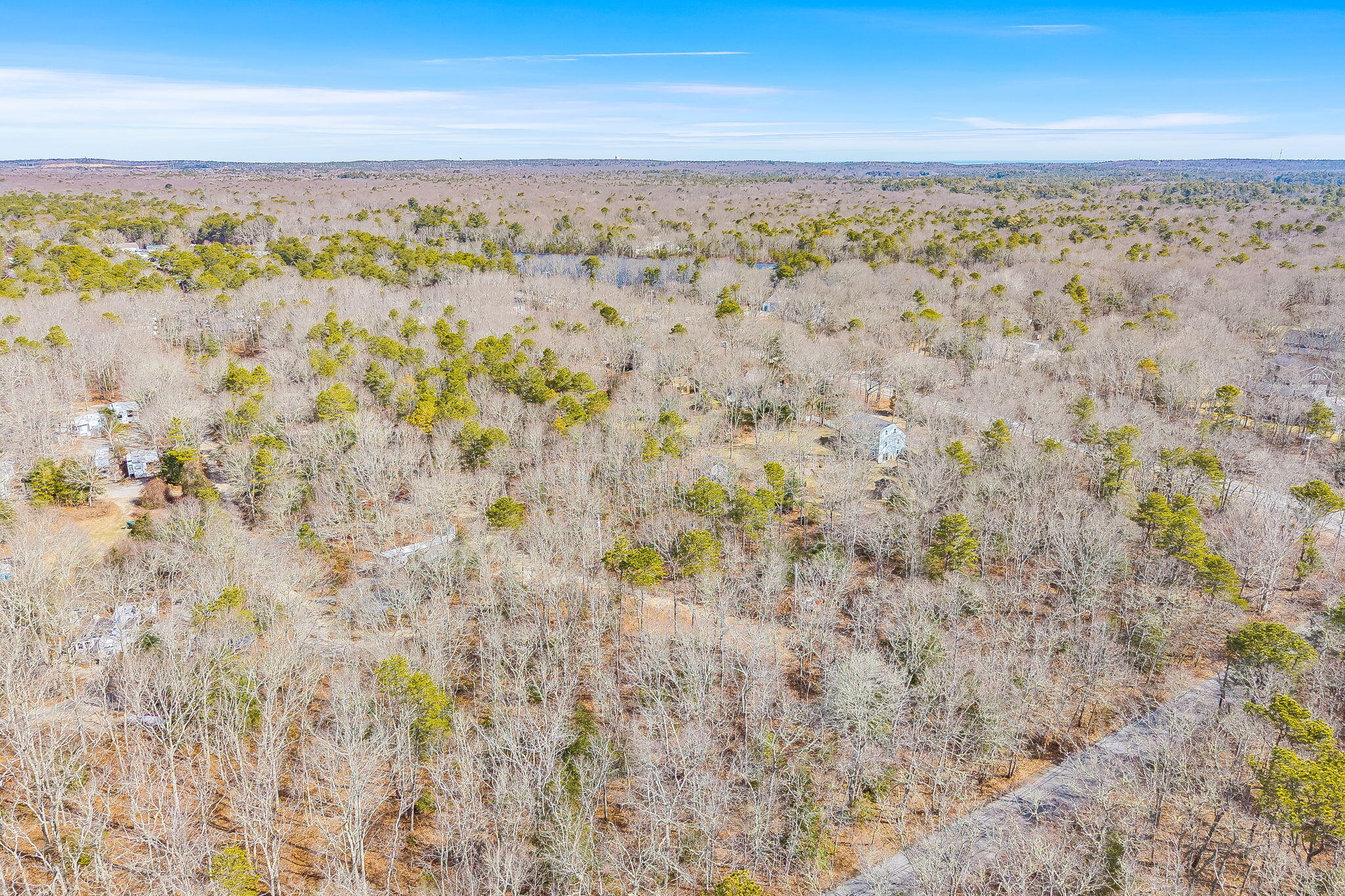 39 John Ewer Road Sandwich, MA 02563 - Photo 5 of 6 20-DJI_20260325103513_0447_D