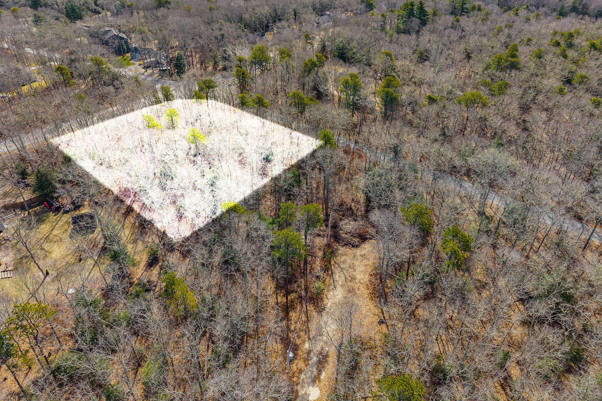 39 John Ewer Road Sandwich, MA 02563 - Photo 6 of 6 23-DJI_20260325102949_0428_D_highlight