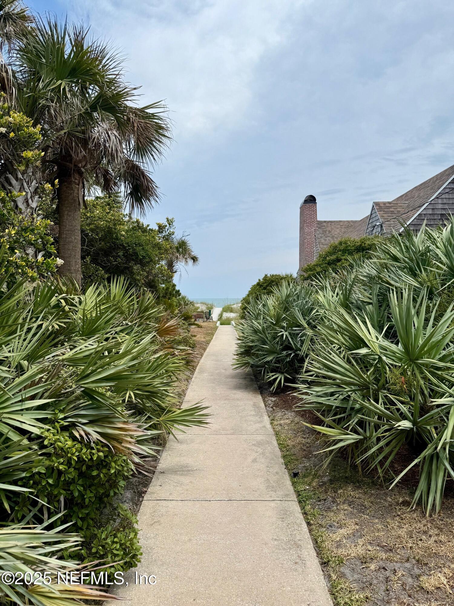 174 13th Street Atlantic Beach, FL 32233 - Photo 3 of 7 a close up of a plant in a garden