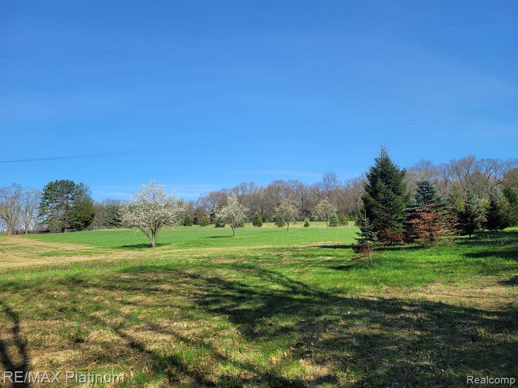Parc B Tipsico Lake Road Hartland, MI 48353 - Photo 3 of 22