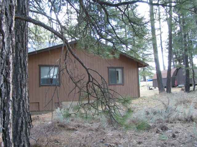 121 Calpine Avenue Calpine, CA 96124 - Photo 2 of 9 Gallery Image 2