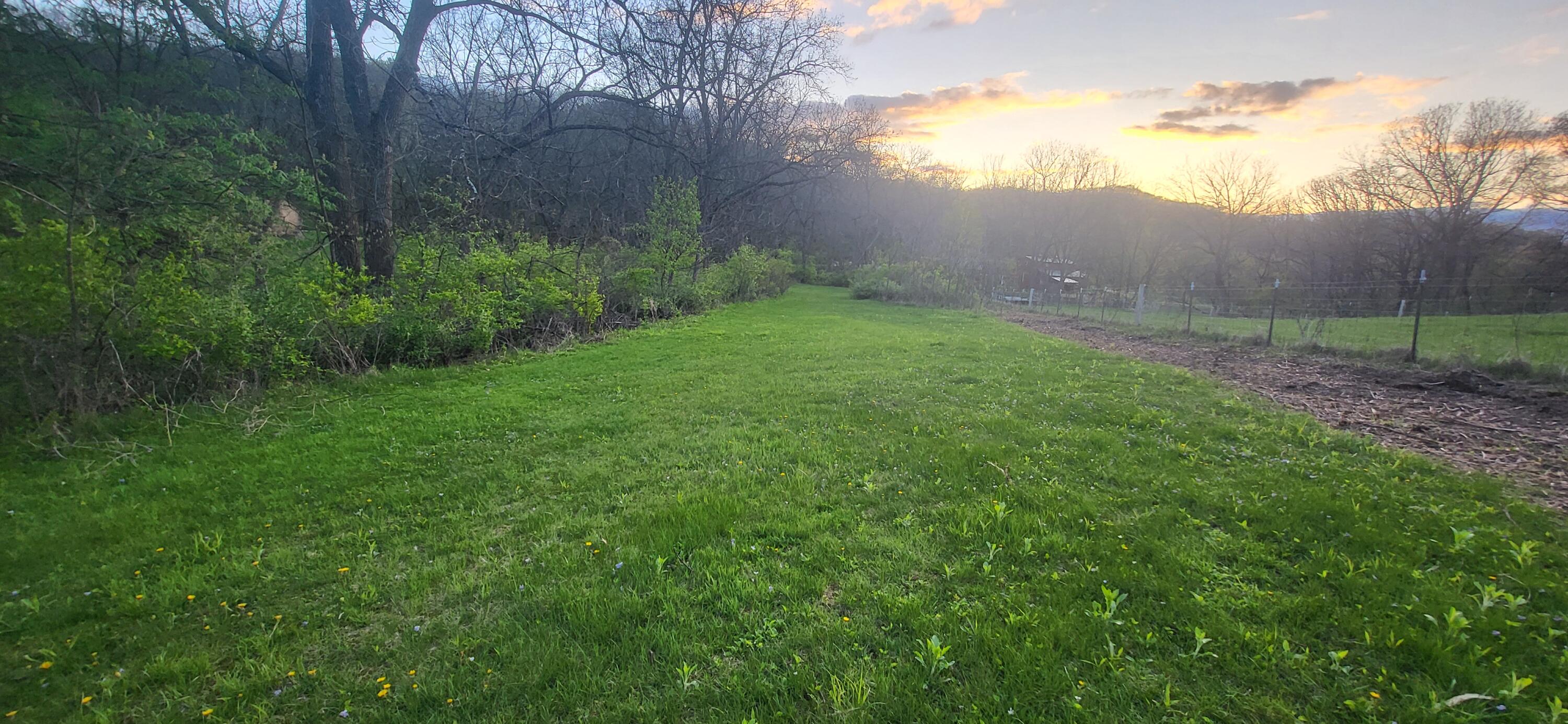 N8083 Amundson Coulee Road Farmington, WI 54636 - Photo 26 of 37 Spring sunset Amundson Coulee Rd