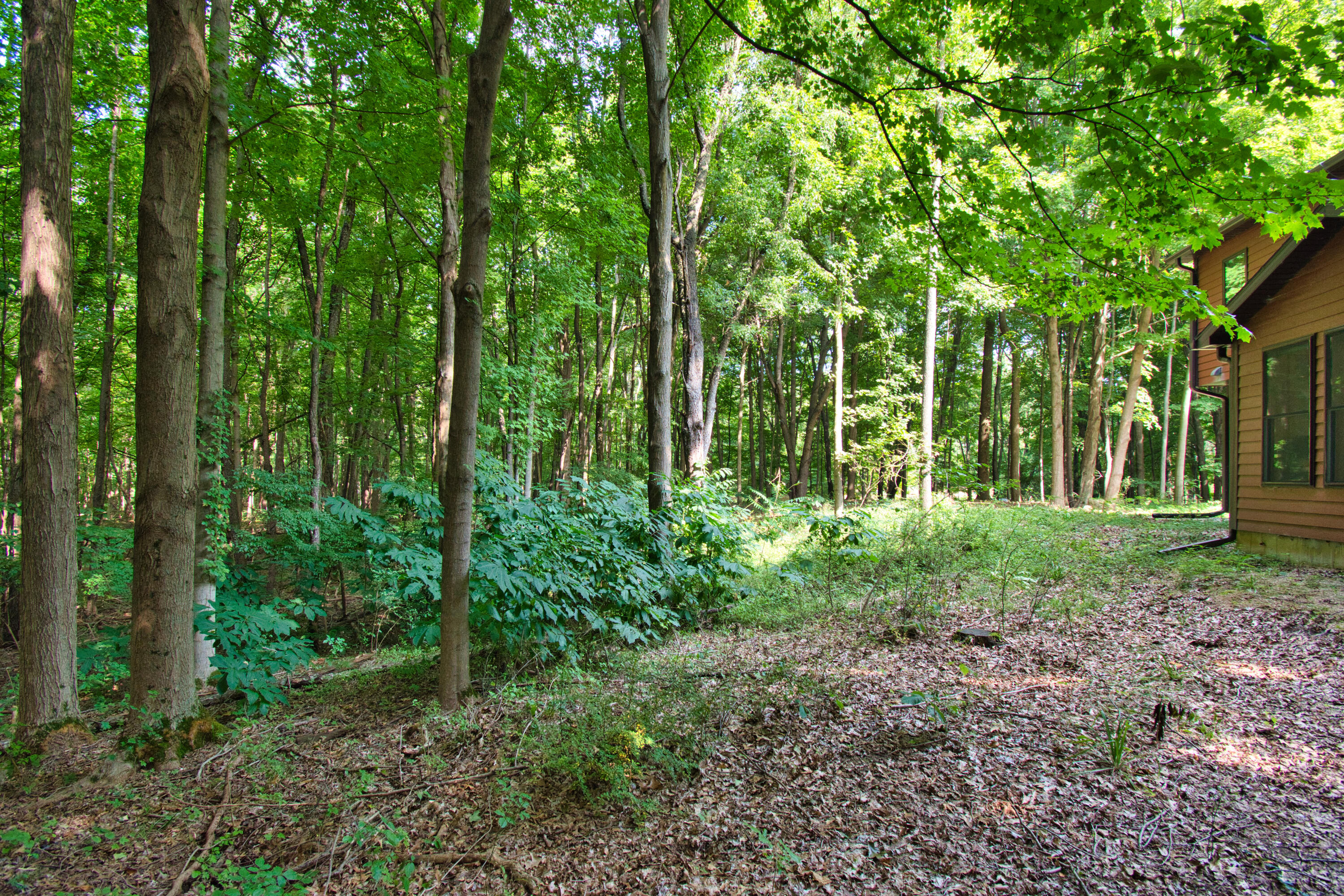 824 North Philip Road Niles, MI 49120 - Photo 5 of 40 DSC_8878