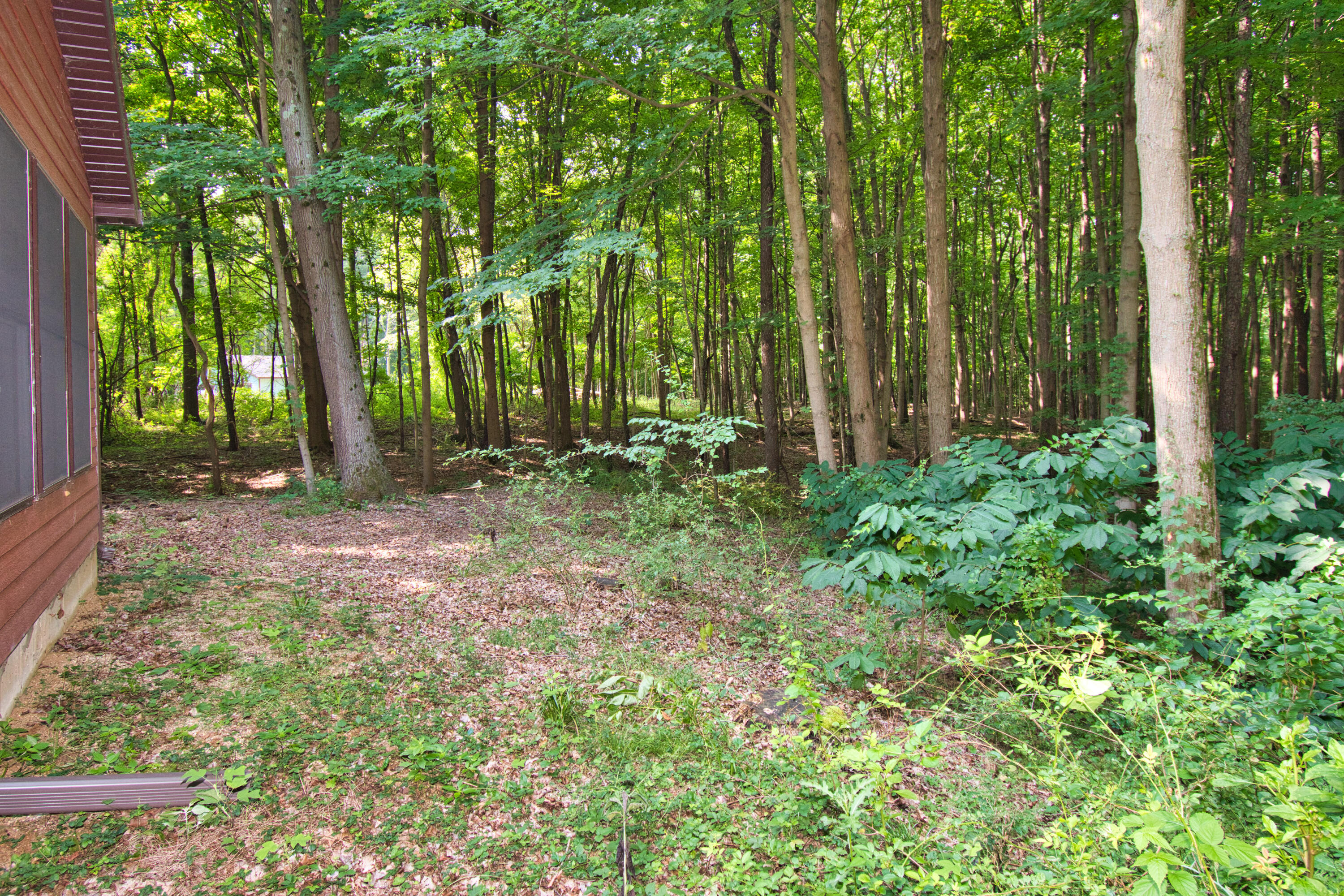 824 North Philip Road Niles, MI 49120 - Photo 6 of 40 DSC_8845