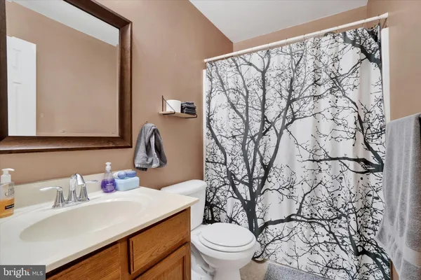 a bathroom with a sink toilet and mirror