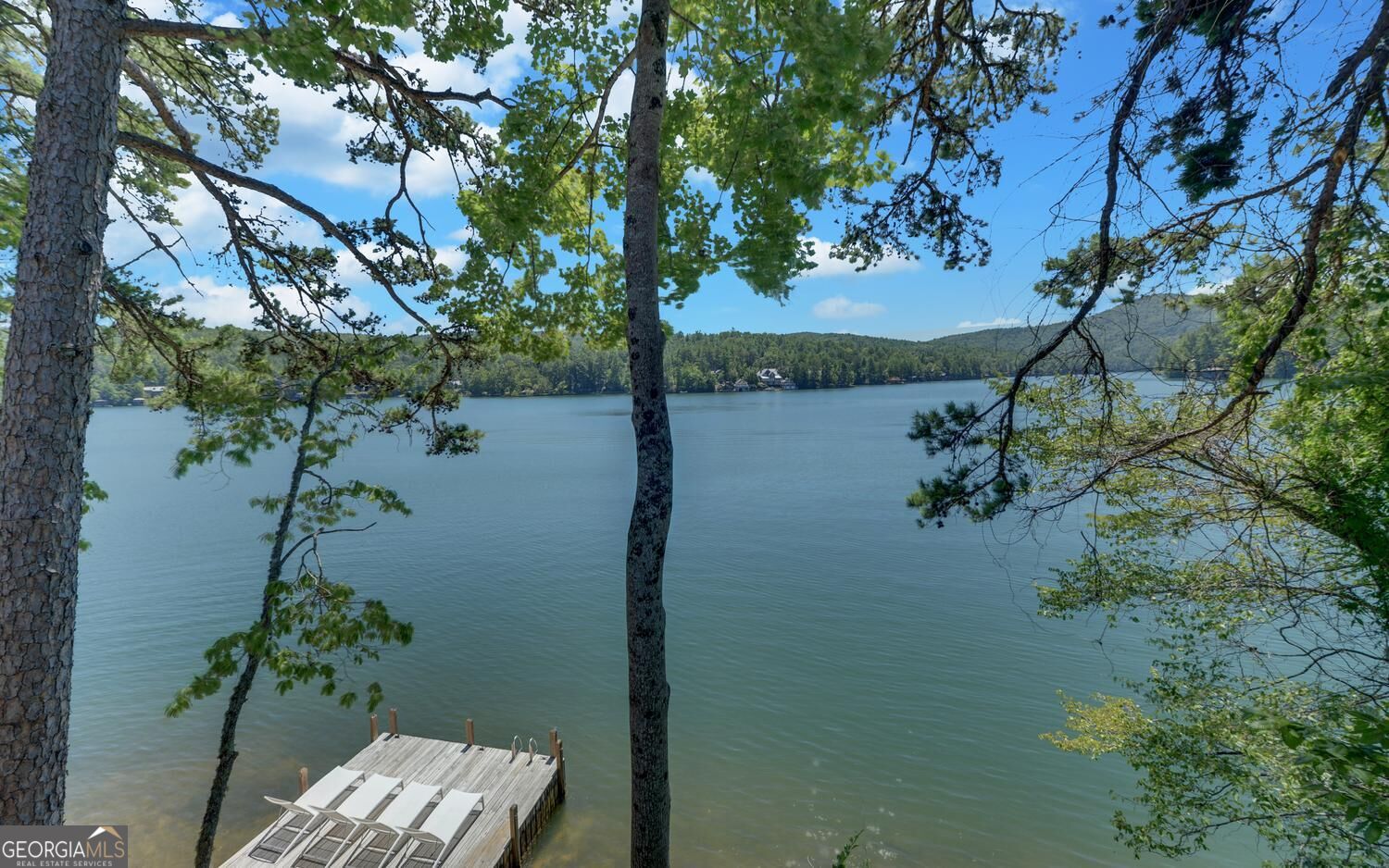 2191 Lake Rabun Road Lakemont, GA 30552 - Photo 37 of 58 Gallery Image 37