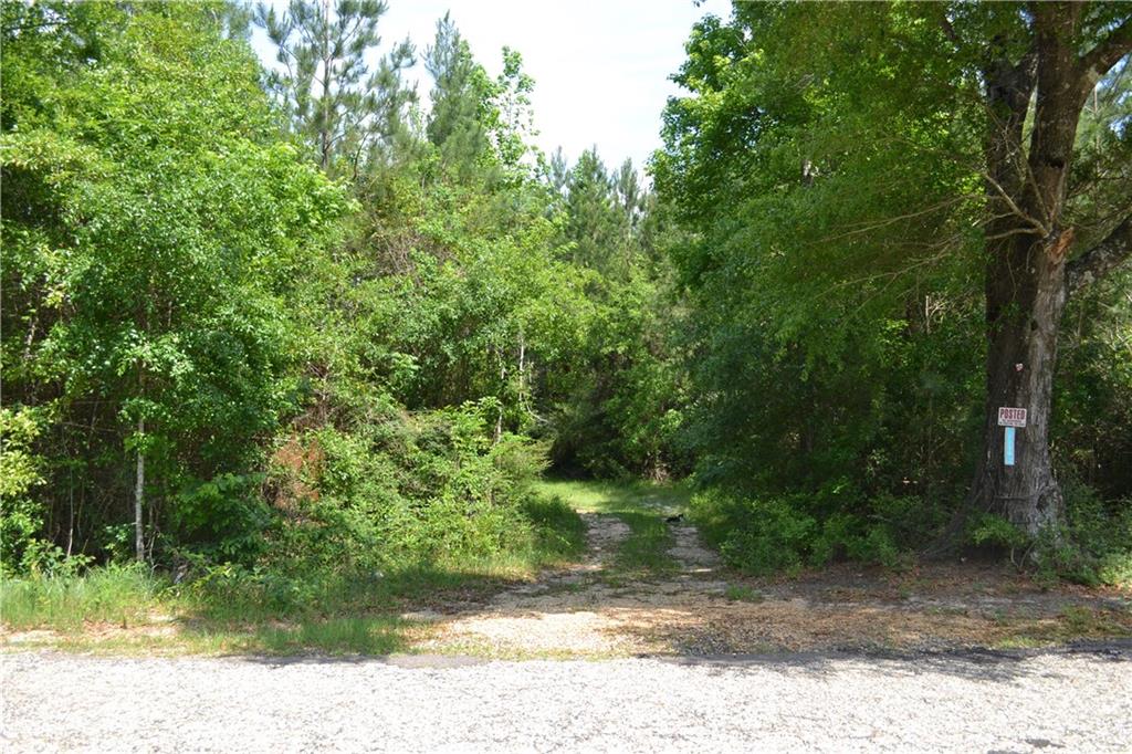 62039 Dollar Road Angie, LA 70426 - Photo 1 of 22