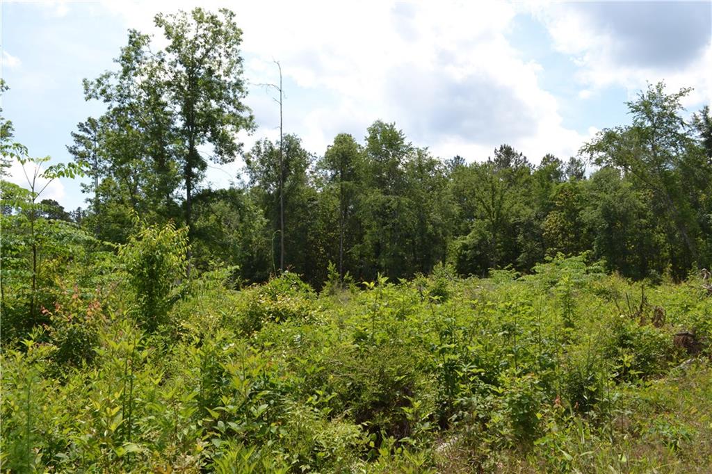 62039 Dollar Road Angie, LA 70426 - Photo 11 of 22