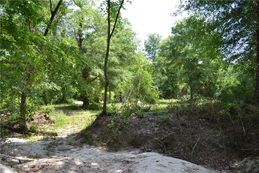 62039 Dollar Road Angie, LA 70426 - Photo 12 of 22