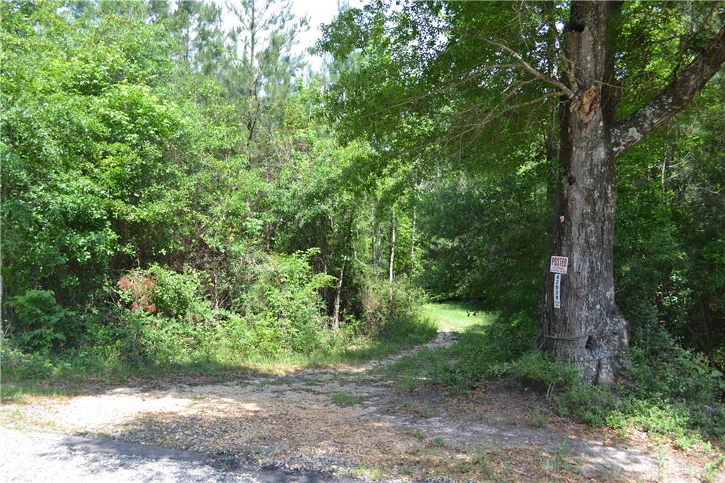 62039 Dollar Road Angie, LA 70426 - Photo 13 of 22