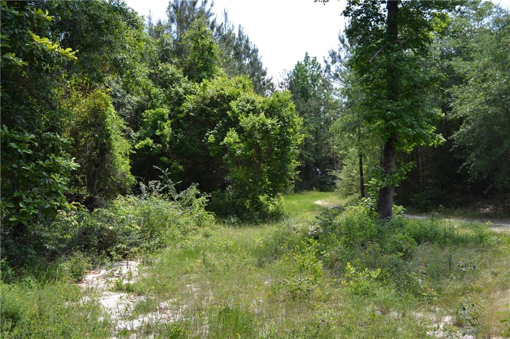 62039 Dollar Road Angie, LA 70426 - Photo 18 of 22