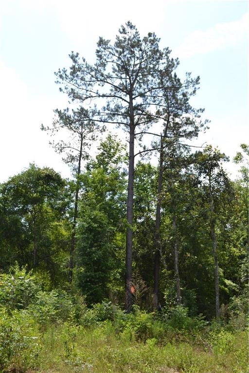 62039 Dollar Road Angie, LA 70426 - Photo 21 of 22