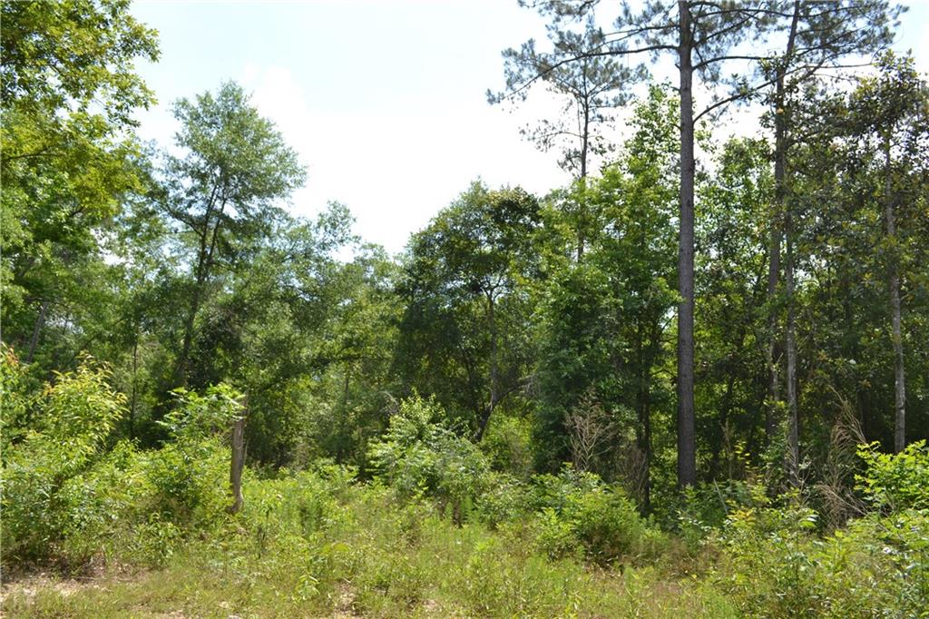 62039 Dollar Road Angie, LA 70426 - Photo 22 of 22