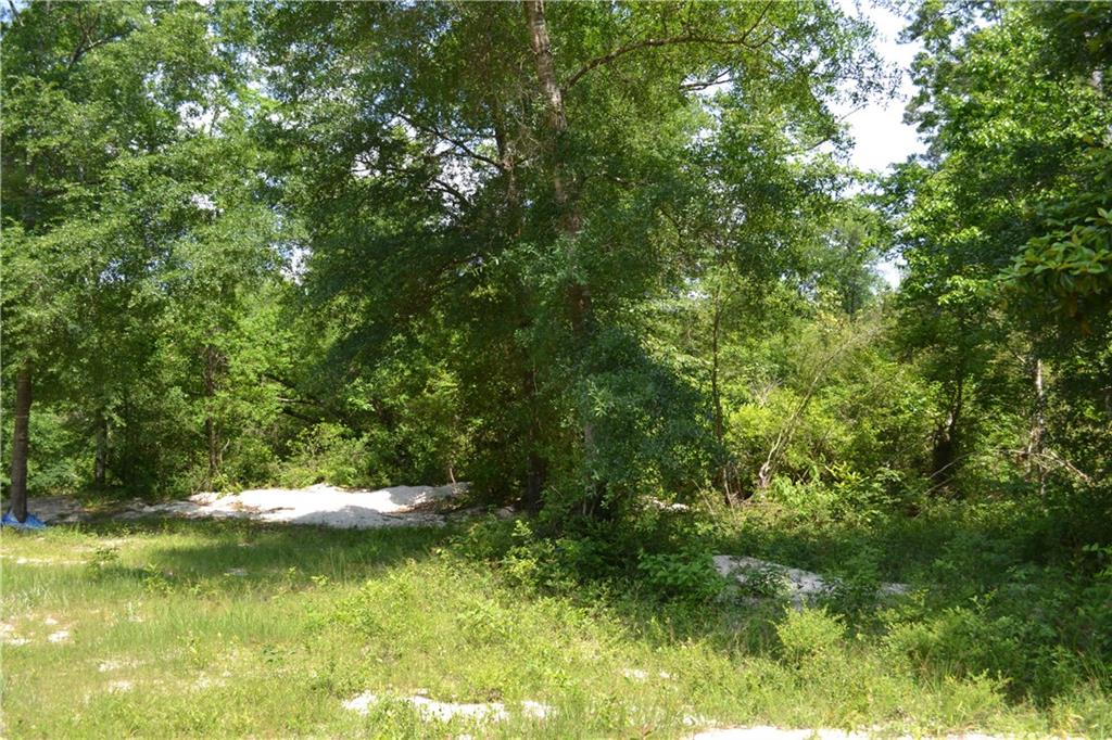 62039 Dollar Road Angie, LA 70426 - Photo 3 of 22