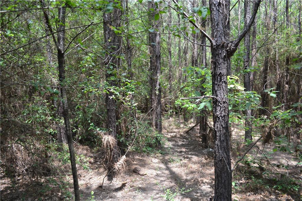 62039 Dollar Road Angie, LA 70426 - Photo 4 of 22