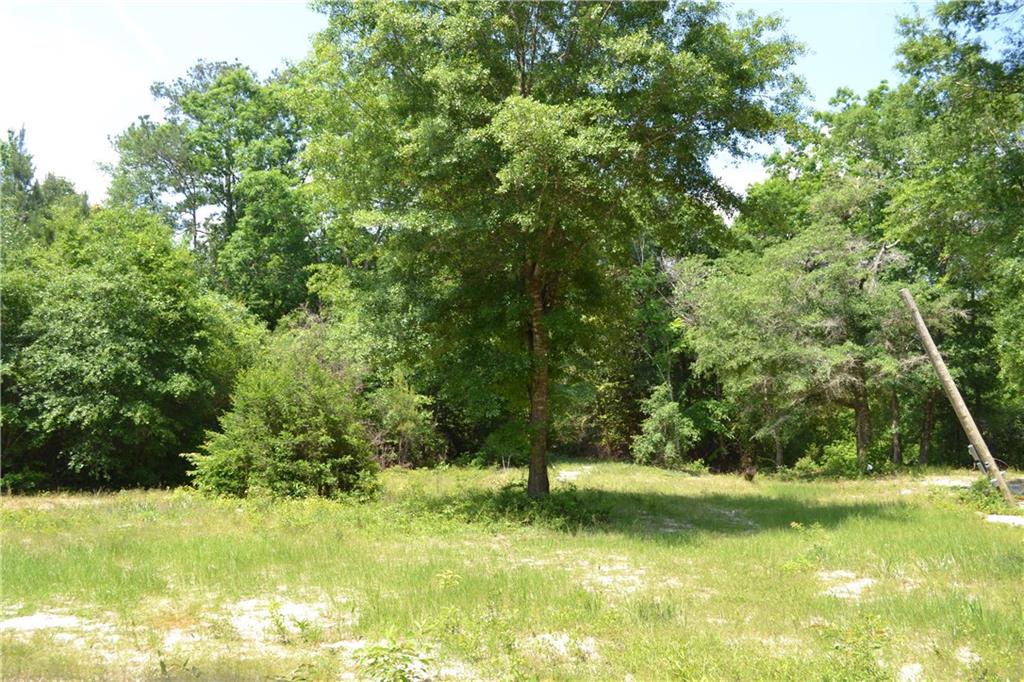 62039 Dollar Road Angie, LA 70426 - Photo 5 of 22