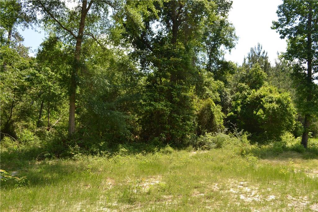 62039 Dollar Road Angie, LA 70426 - Photo 7 of 22