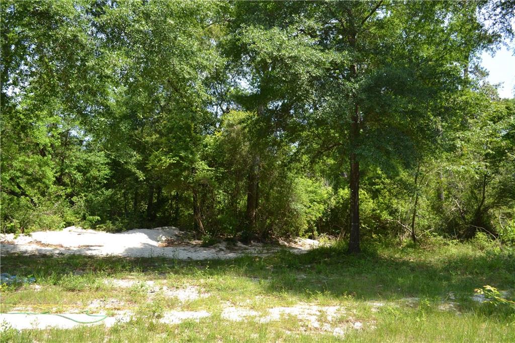62039 Dollar Road Angie, LA 70426 - Photo 8 of 22