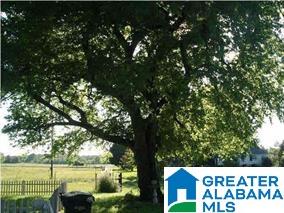 1630 Concord Church Road Talladega, AL 35160 - Photo 15 of 31