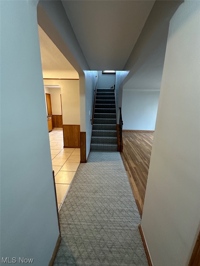 4994 North Barton Road Cleveland, OH 44124 - Photo 5 of 28 Stairway with light colored carpet