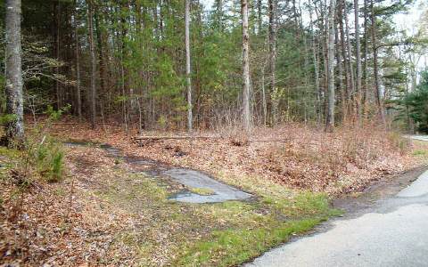 0 Pinetree Road Murphy, NC 28906 - Photo 1 of 1 a view of a forest filled with trees