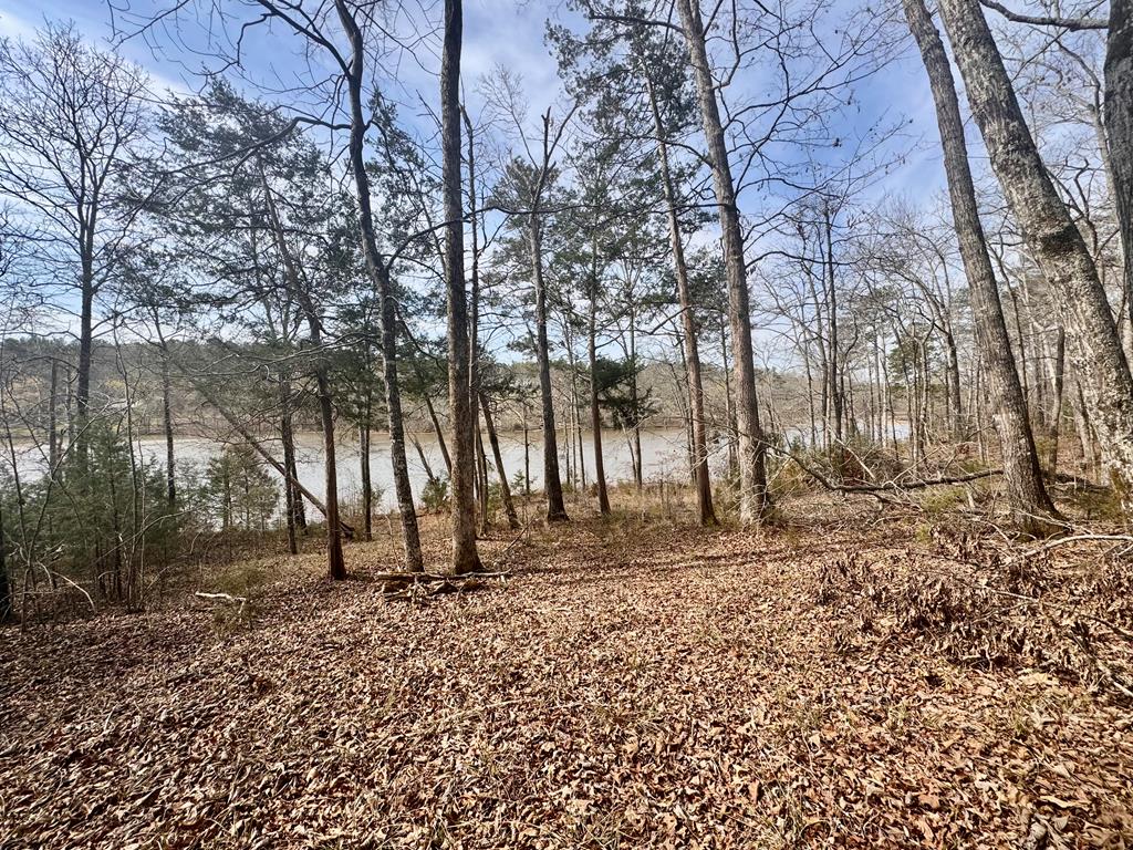 517 Terrapin Pointe Road Hodges, SC 29653 - Photo 28 of 29