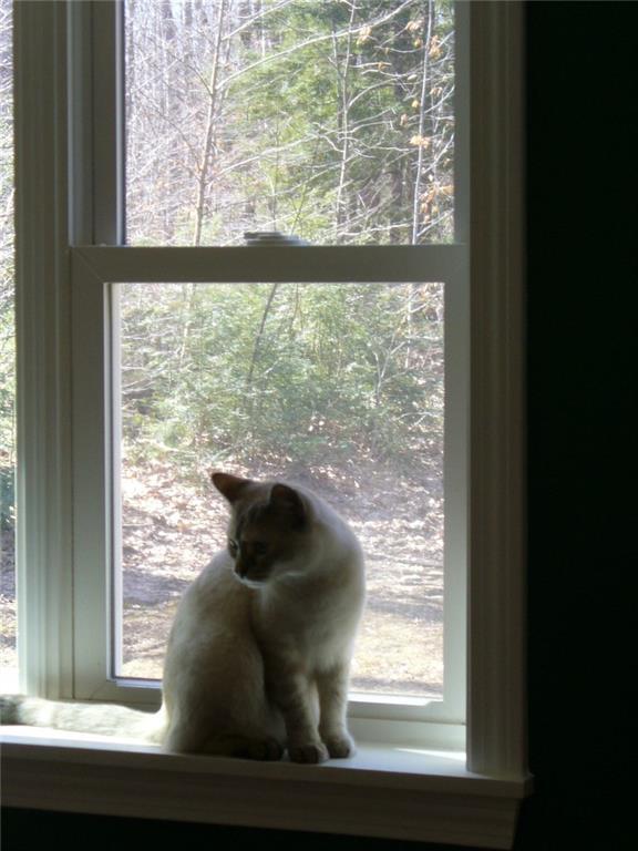2294 Old Augusta Road Waldoboro, ME 04572 - Photo 12 of 28 Photo