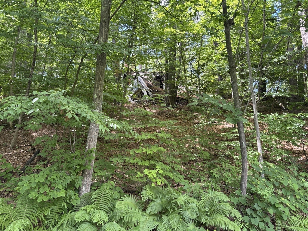 9 Georgia Road Groton, MA 01450 - Photo 22 of 28