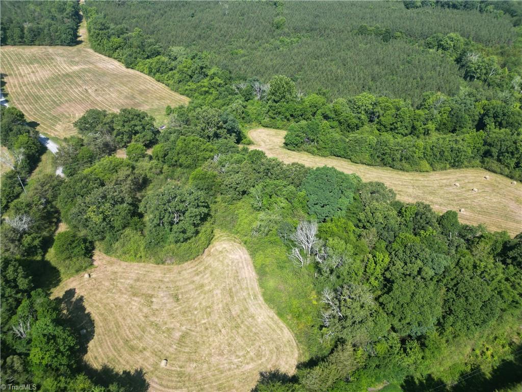 7875 Antioch Church Road Seagrove, NC 27341 - Photo 16 of 44