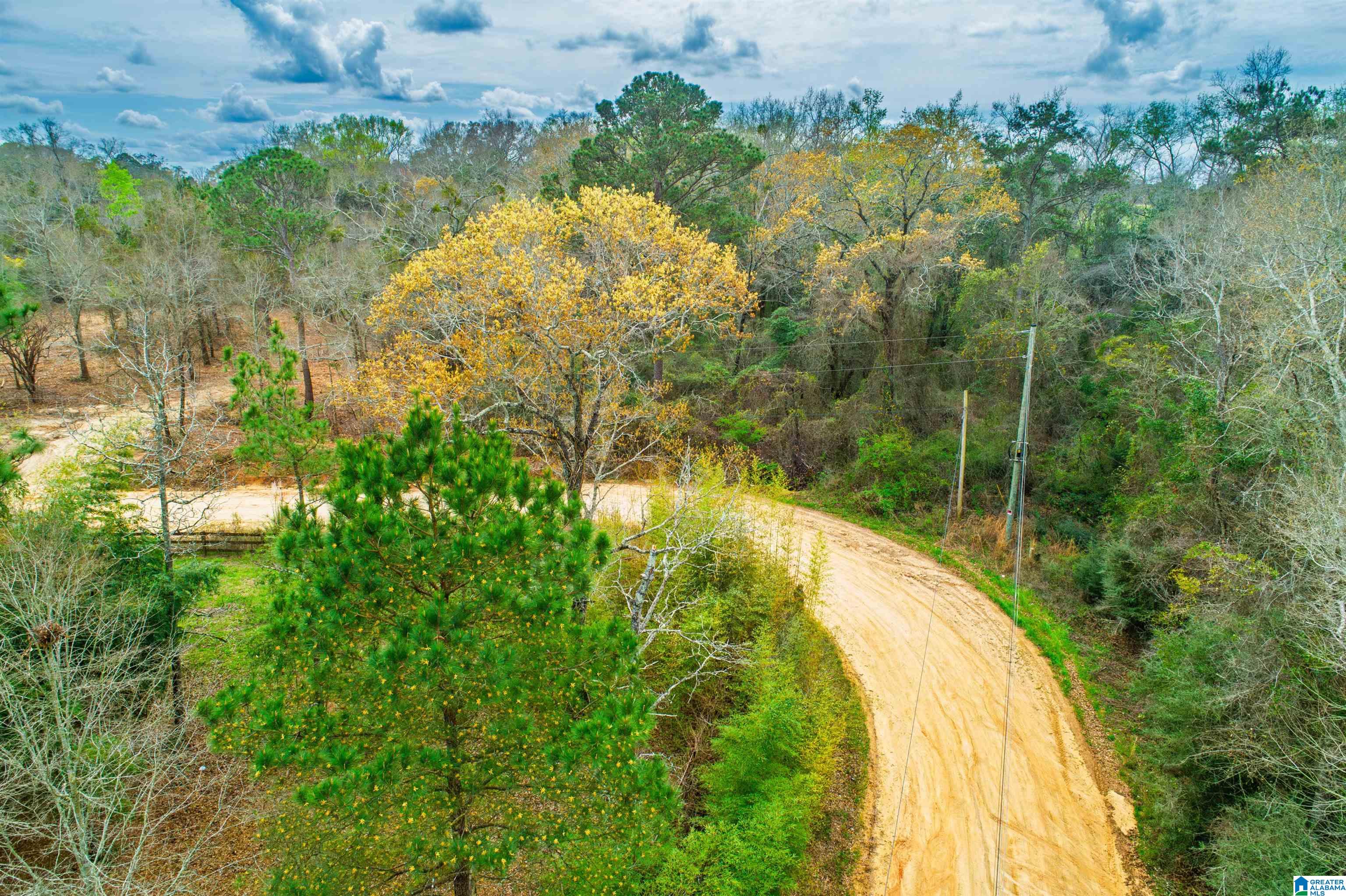 27180 Deer Run Road Opp, AL 36467 - Photo 28 of 60