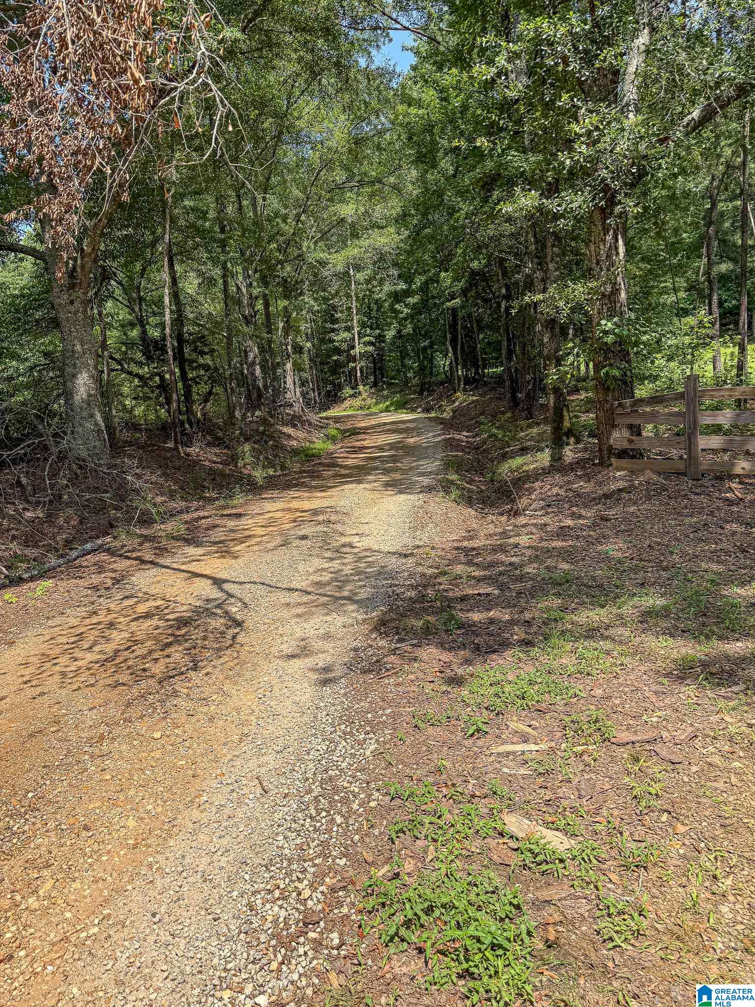 1540 Pepper Road, Unit 49 / ACRES Ashland, AL 36251 - Photo 29 of 31