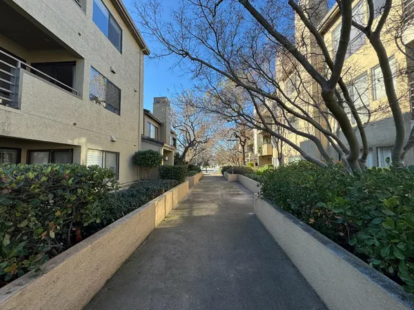 a view of a garden with pathway