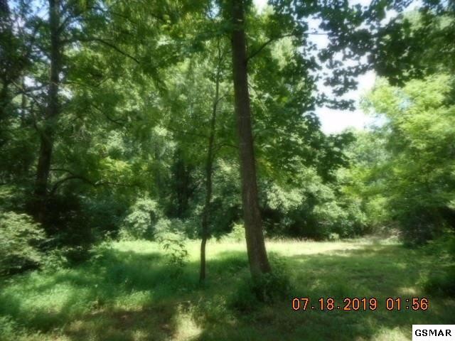 3638 Big Springs Ridge Road Friendsville, TN 37737 - Photo 16 of 31 Gallery Image 16