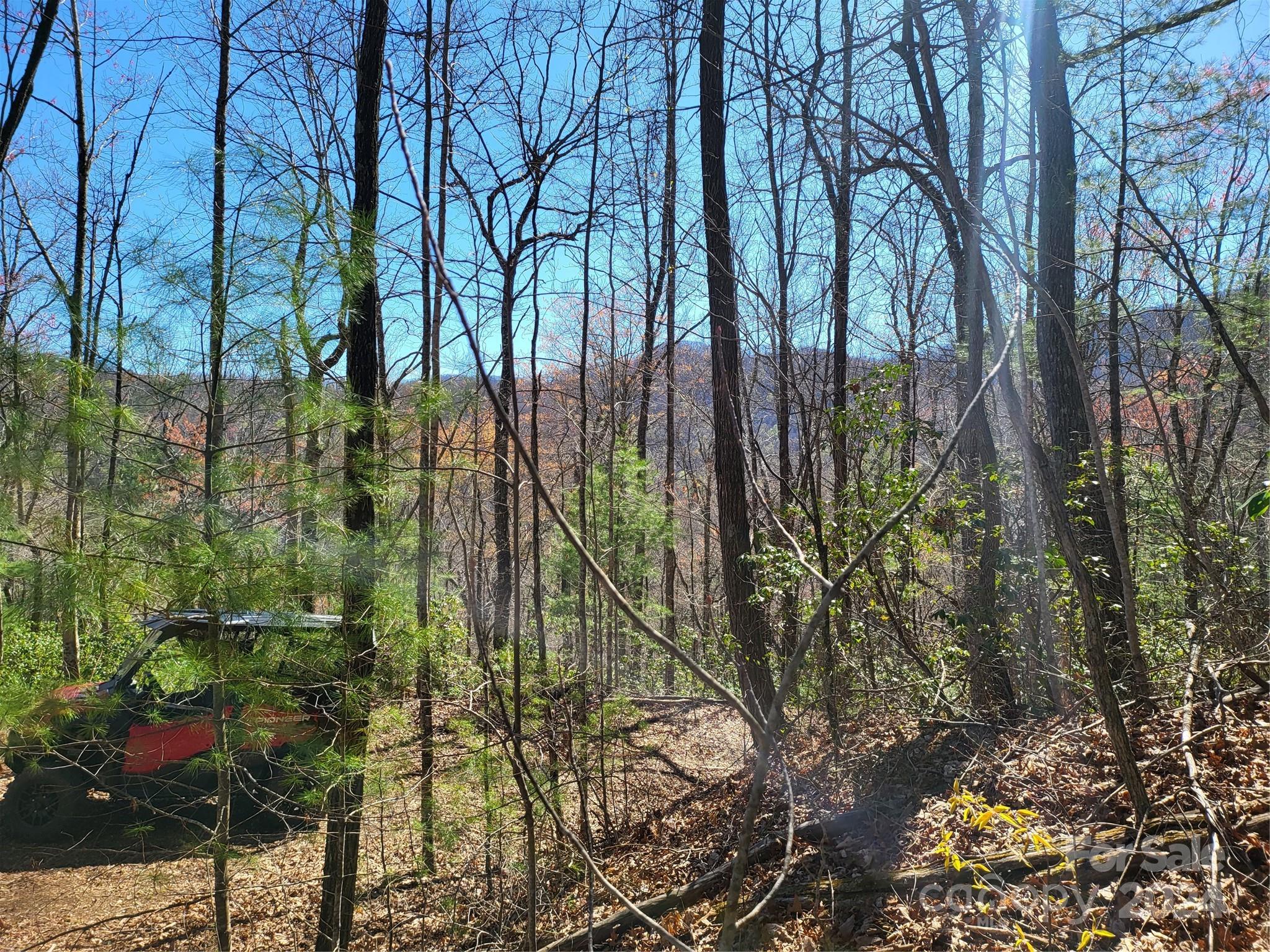 14-16 Huffman Creek Road Robbinsville, NC 28771 - Photo 11 of 14