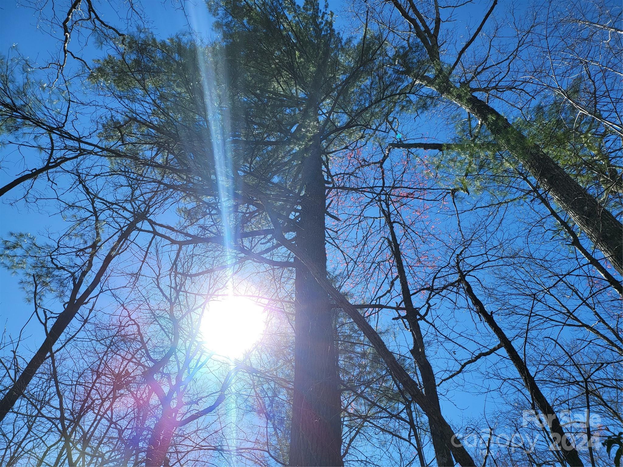 14-16 Huffman Creek Road Robbinsville, NC 28771 - Photo 6 of 14