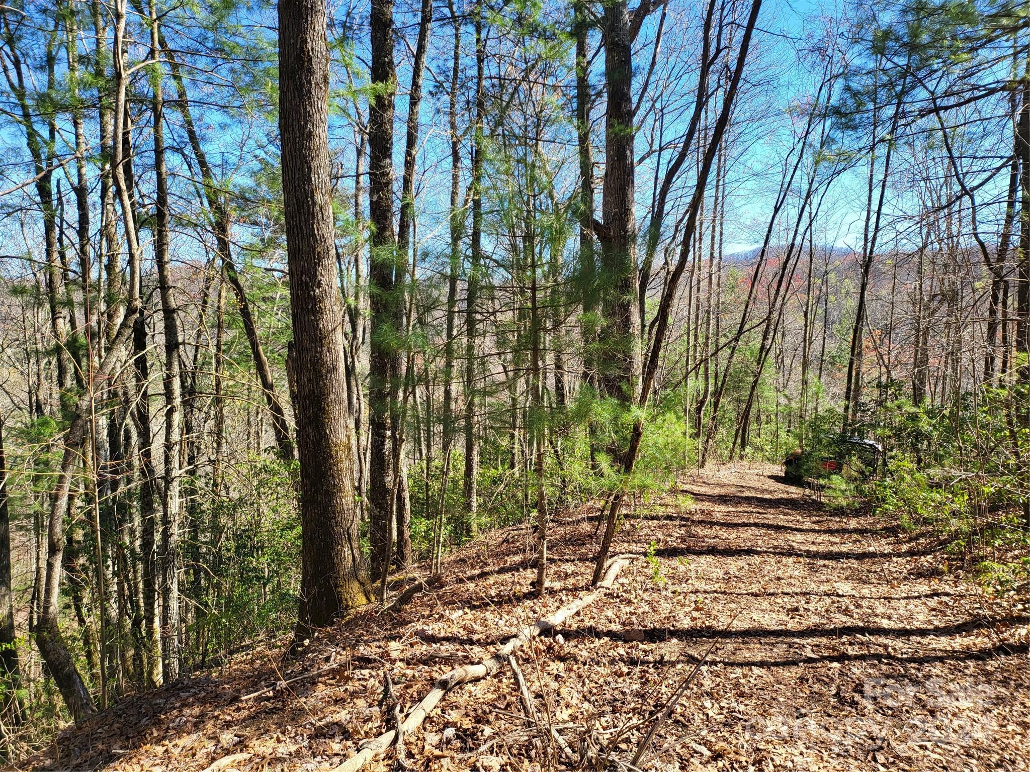 14-16 Huffman Creek Road Robbinsville, NC 28771 - Photo 7 of 14