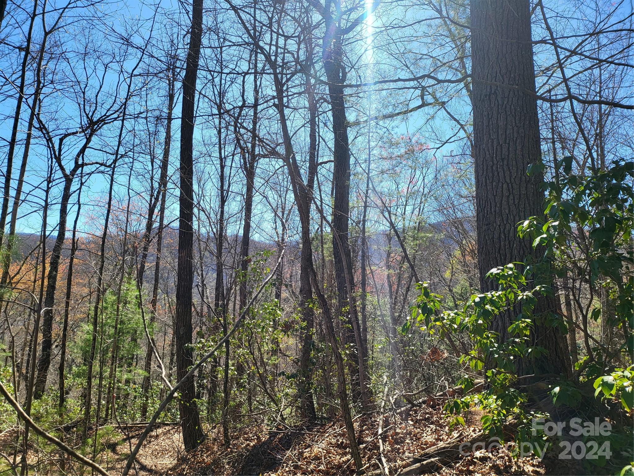 14-16 Huffman Creek Road Robbinsville, NC 28771 - Photo 8 of 14