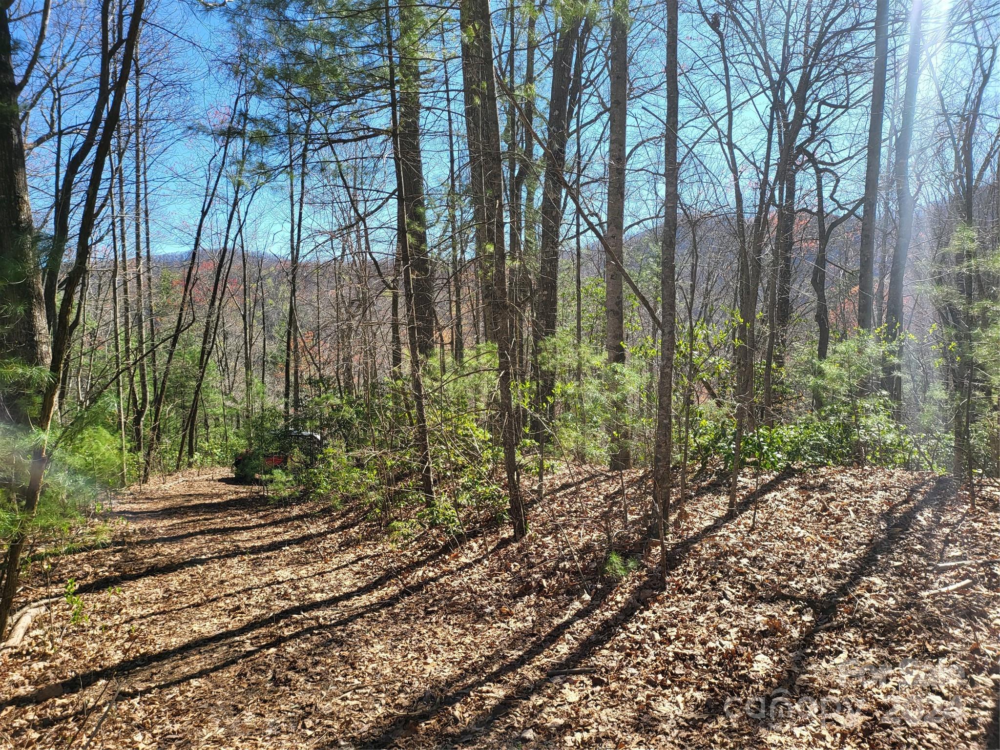 14-16 Huffman Creek Road Robbinsville, NC 28771 - Photo 10 of 14