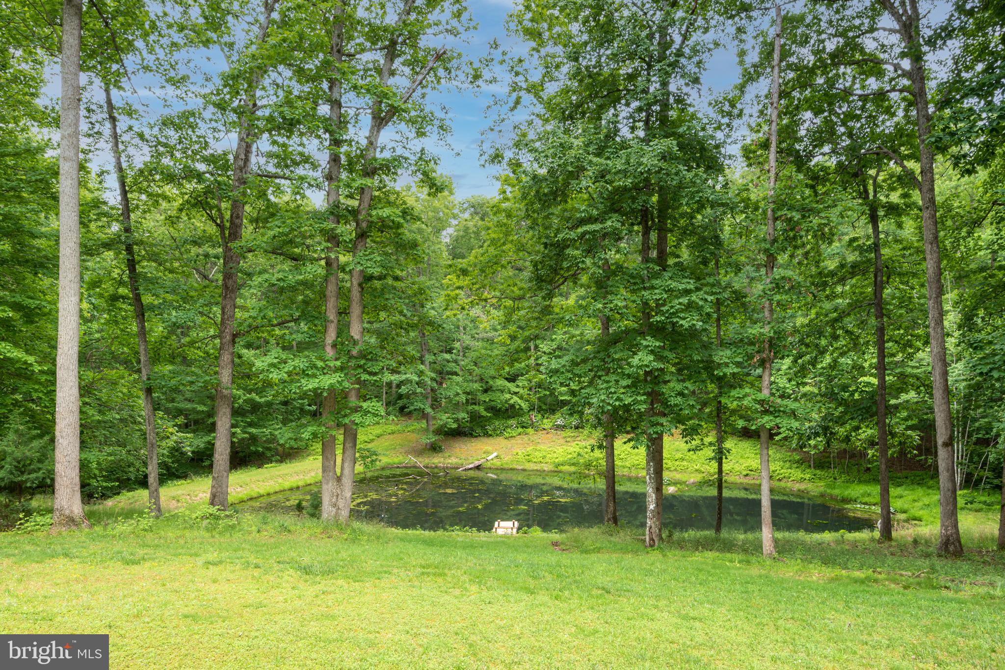 10149 Wesley Chapel Road Marshall, VA 20115 - Photo 39 of 39 EXTERIOR WITH POND