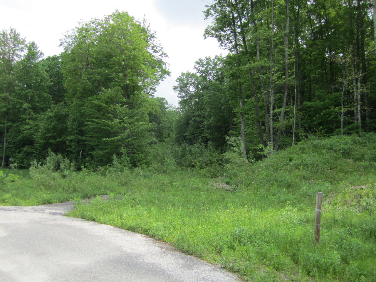 Lot #5 Sweet Farm Road Williamstown, MA 01267 - Photo 1 of 4 View from Cul-de-sac