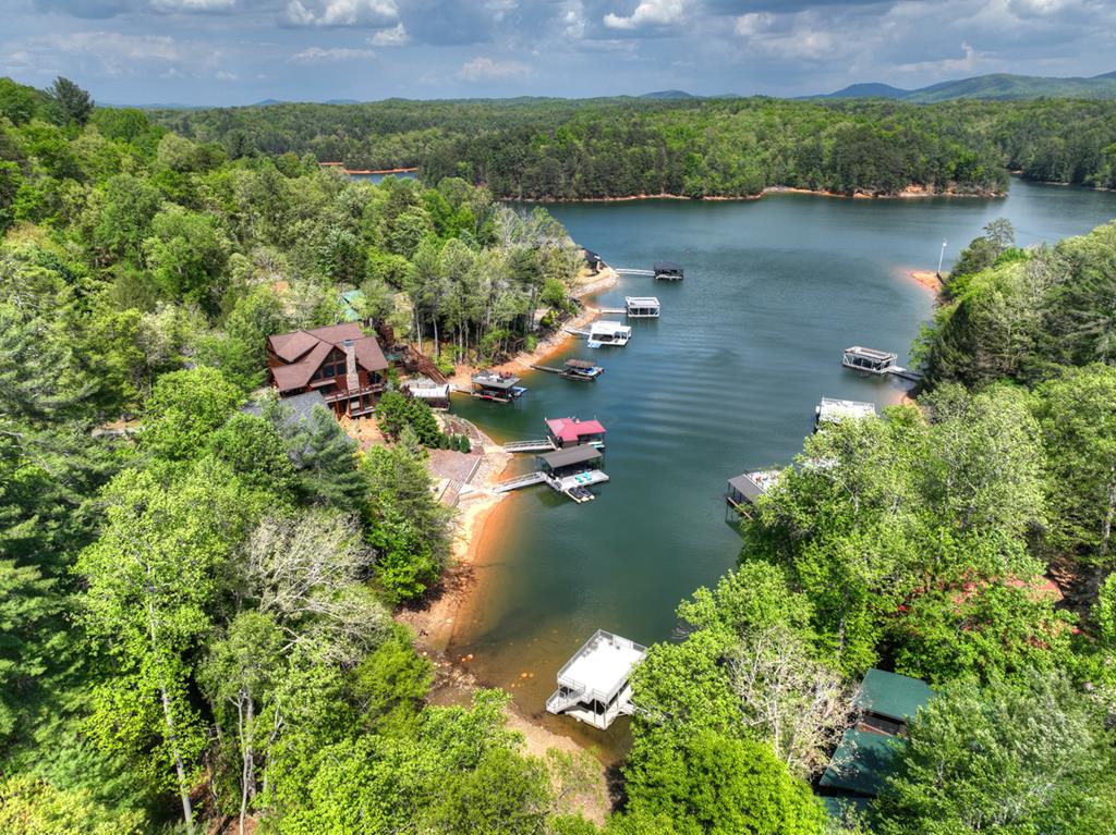 1601 Shady Falls Road Blue Ridge, GA 30513 - Photo 63 of 70 Gallery Image 63