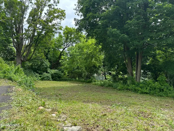 a view of a field with a trees in the background