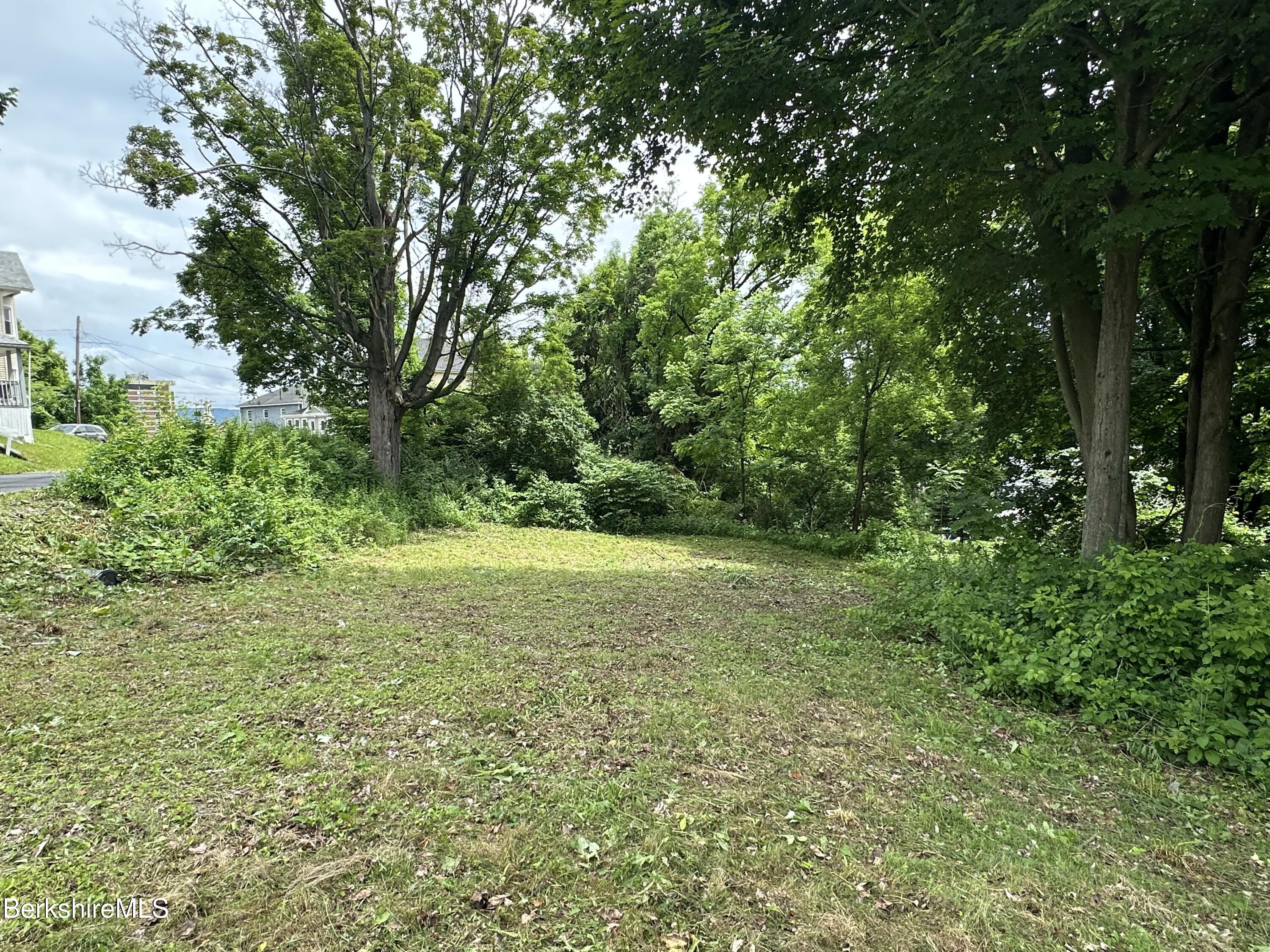 33 Circular Avenue Pittsfield, MA 01201 - Photo 2 of 5 Side View