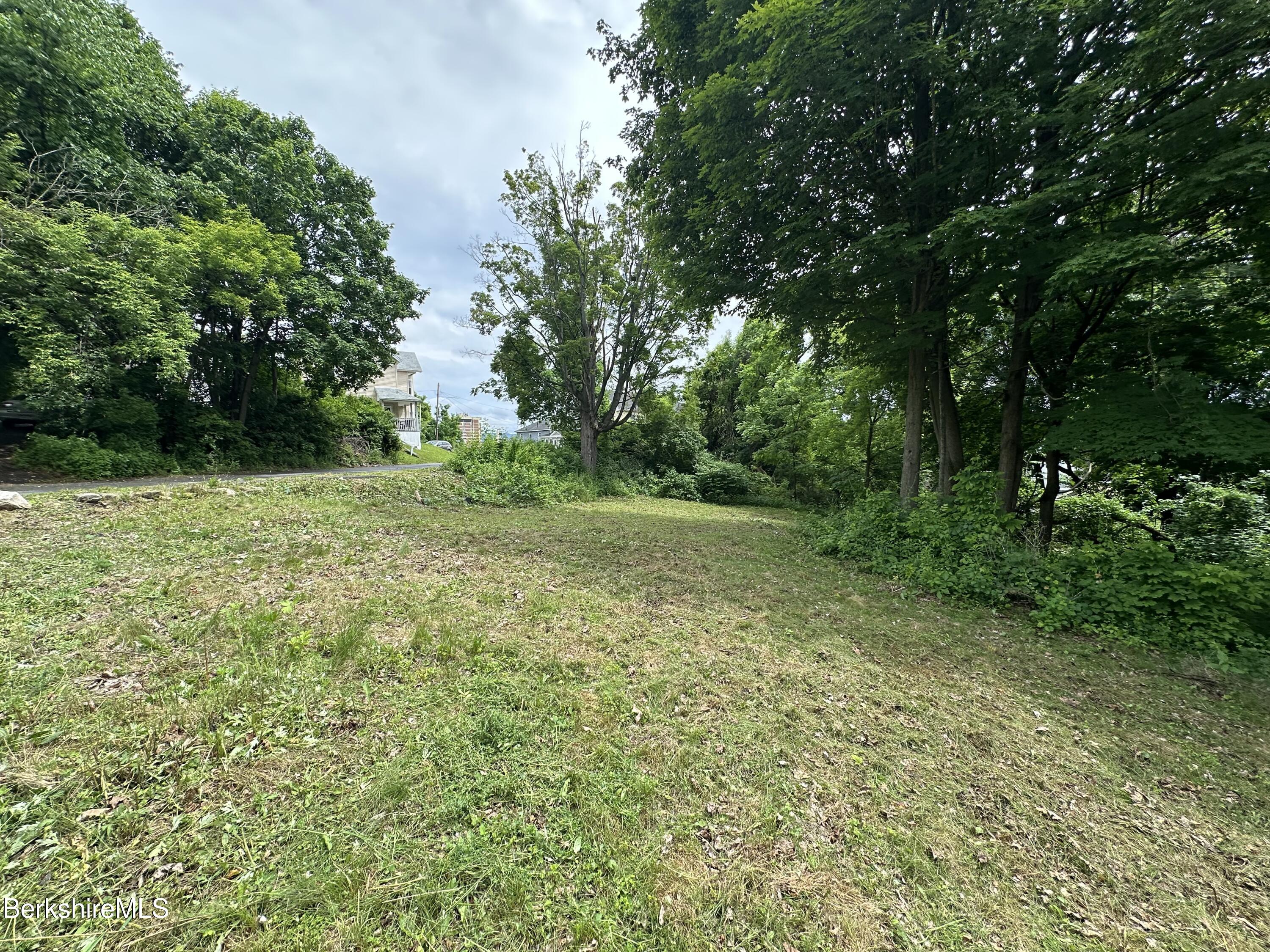 33 Circular Avenue Pittsfield, MA 01201 - Photo 3 of 5 Full Lot